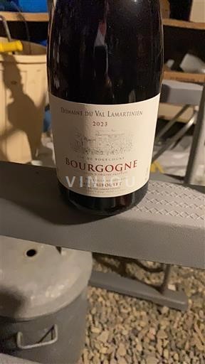 Bourgondië Bourgogne Domaine Val Lamartinien 2023
