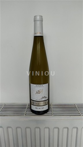 Alsace Stoeffel Muscat Icke årgångsbetecknad