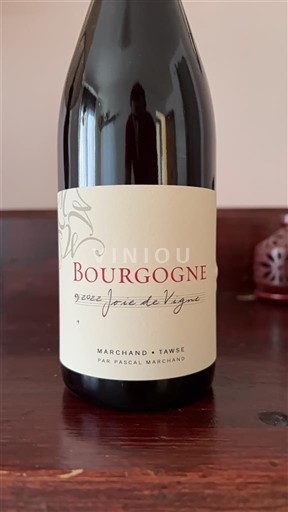 Bourgondië Bourgogne Marchand-Tawse Joie de Vigne 2022