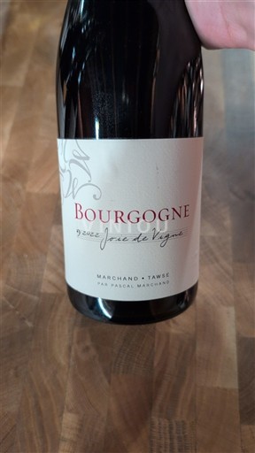 Burgundi Bourgogne Marchand-Tawse Joie de Vigne 2022