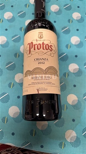 Kastilien und León Ribera del Duero Protos Crianza 2012