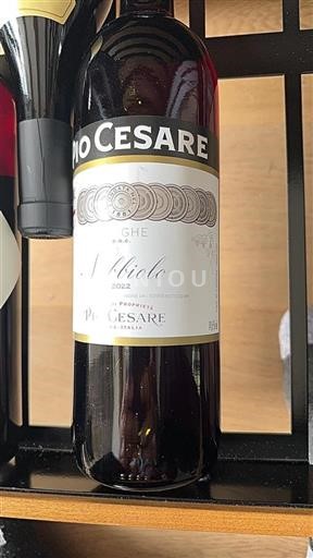 Piedmont Wines Nebbiolo d'Alba Pio Cesare Nebbiolo 2022