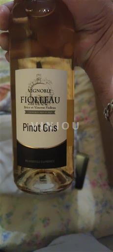 Loiretal Nicht spezifiziert Vignoble Fiolleau Pinot Gris Ohne Jahrgang