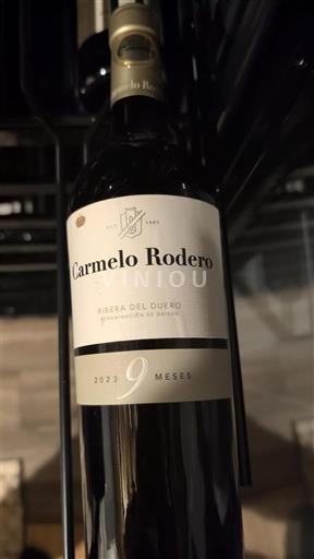 Castille và León Ribera del Duero Carmelo Rodero 9 Meses 2023