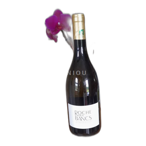 Regio's van het Oosten Saône-et-Loire Roche Des Bancs 2022