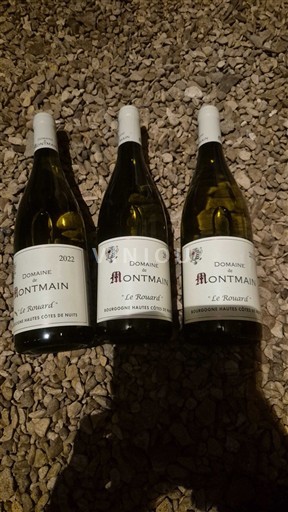 Bourgondië Hautes Côtes de Nuits Domaine Montmain Le Rouard 2022