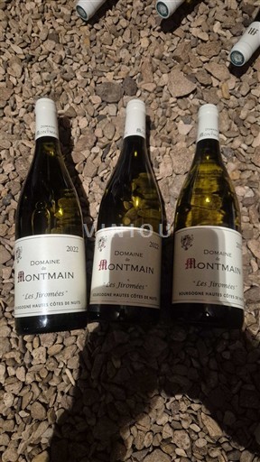 Bourgondië Hautes Côtes de Nuits Domaine Montmain Les Jiromés 2022