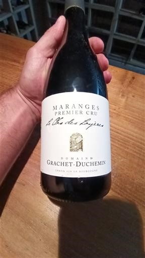 Bourgogne Maranges Premier Cru Grachet-Duchemin Le Clos des Loyères 2022