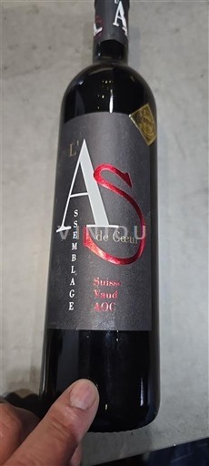 Vaud Lavaux AOC Les Terrasses de Lavaux L' AS de Coeur 2023