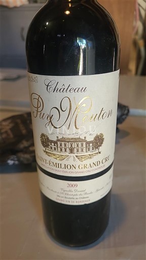 Bordeaux Saint-Émilion Grand Cru Château Puy Mouton 2009