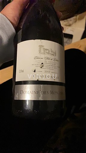 Burdeos Côtes-de-Bordeaux Domaine Des Monnaies Terres Blanches 2013