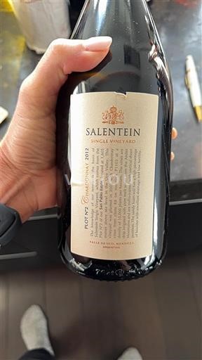 Mendoza Salentein Single Vineyard 2012