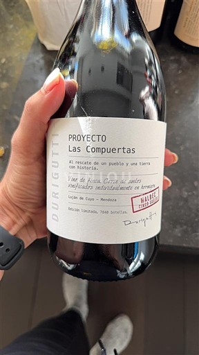 Mendoza Non specificato Durigutti Proyecto Las Compuertas 2017