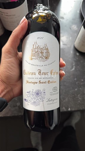 Bordeaux Montagne-Saint-Émilion Château Tour Calon 2017