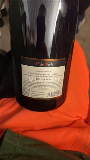 Rheinhessen Not Specified Rebs-Groß 2011