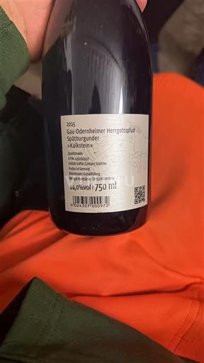 Rheinhessen Not Specified Gau-Odernheimer Herrgottspfad kalkstein 2015