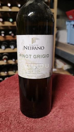 Piemonte Ikke specificeret Tenute Neirano Pinot Grigio 2016