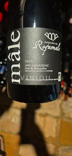 Languedoc Grès de Montpellier Domaine Roquemale mâle 2021