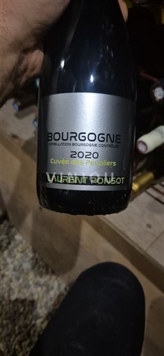 Borgogna Laurent Ponsot des Peupliers 2020