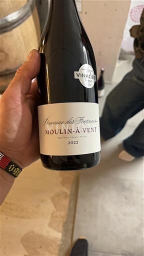 Beaujolais Moulin-à-vent Domaine Des Pépieux 2022