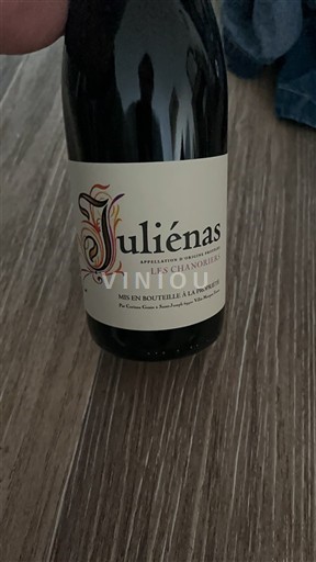 Beaujolais Juliénas Domaine Guillot-Gonin Les chanoriers 2023