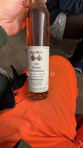 Rheinhessen Schloss Groebe 1993