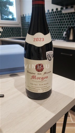 Beaujolais Morgon Domaine Des Miroirs 2023