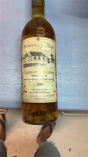 Lounais-Ranska Côtes-de-bergerac Domaine Mique 2004