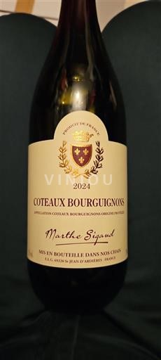 Borgoña Coteaux de Borgoña Marthe Sigaud 2024