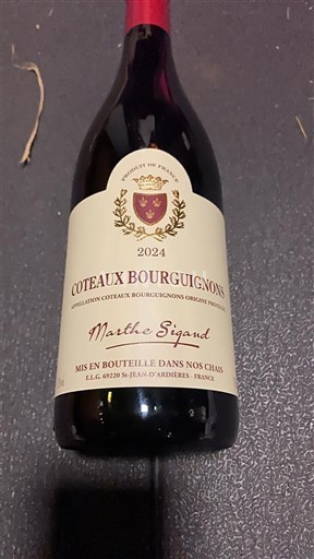 Bourgogne Bourgogne skråninger Marthe Sigaud 2024