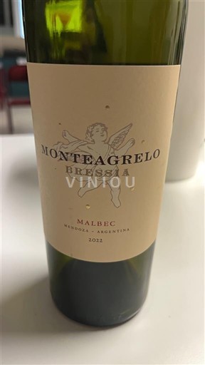 Mendoza Non specificato Monteviejo Brassa 2022