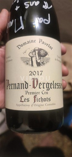 Bourgogne Pernand-vergelesses Premier Cru Domaine Pavelot Les Fichots 2017