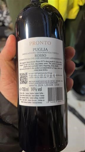 Pouilles Pronto 2024