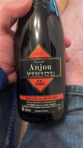 Loiredalen Anjou Domaine Des Blouines 2015