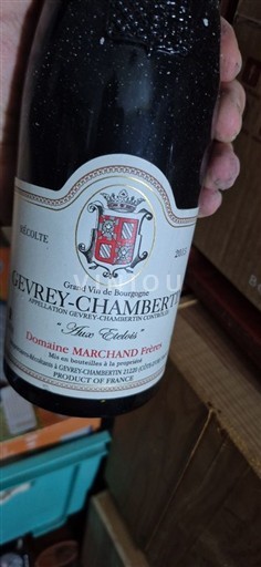 Borgoña Gevrey-Chambertin Domaine Marchand Frères 2015