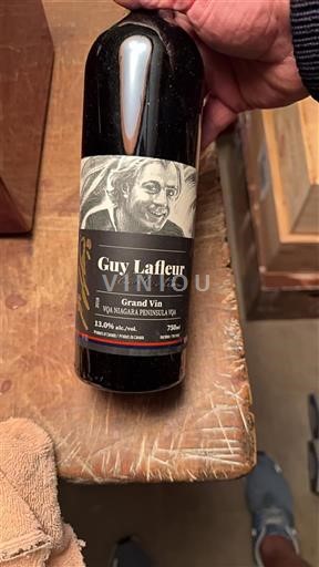 Vin Rouge sec Guy Lafleur 2018 Canada Ontario Niagara Peninsula