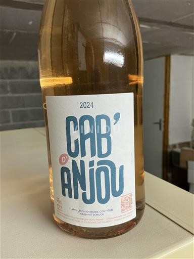 Valle del Loira Cabernet-d'Anjou SCEV PAYEN 2024