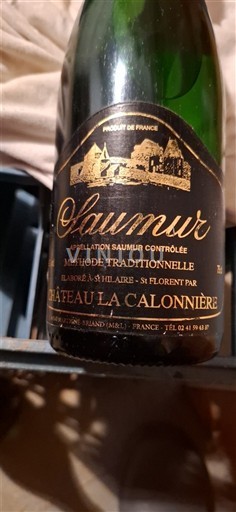Loirevallei Saumur Château La Calonnière Niet-geïntegreerd