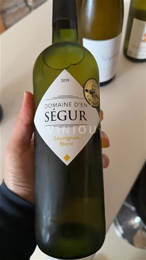 Sudoeste No especificado Domaine En Ségur Sauvignon Blanc 2019