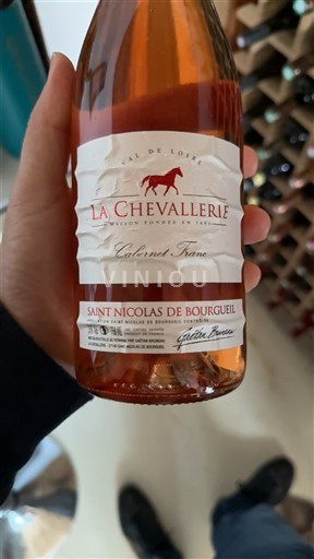 Vallée de la Loire Saint-Nicolas-De-Bourgueil La Chevallerie Non Millésimé