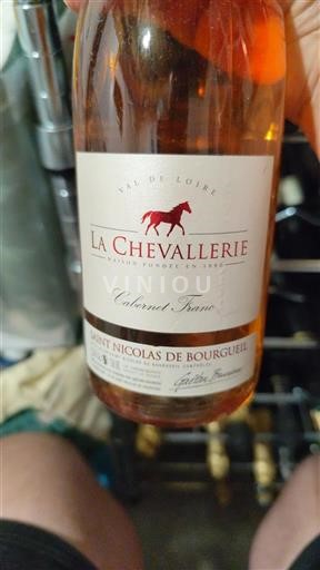 Loirevallei Saint-Nicolas-De-Bourgueil La Chevallerie Niet-geïntegreerd