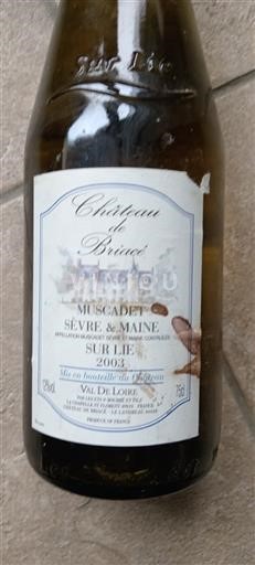 Vale do Loire Muscadet-sèvre-et-maine Château Briacé 2003