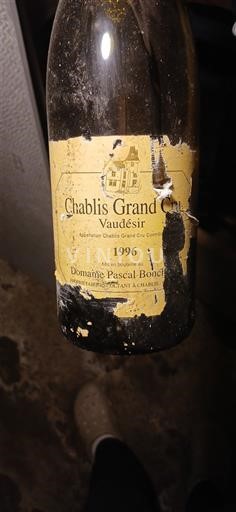 Burgundsko Chablis Grand Cru Domaine Pascal Bouchard Vaudésir 1996