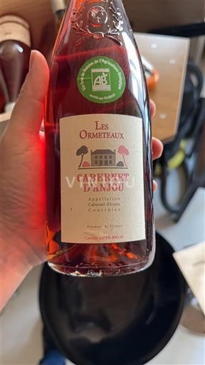 Valle della Loira Cabernet d'Anjou Les Ormeteaux 2010