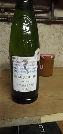 Langvedok Picpoul-de-Pinet Domaine Reine Juliette Tradition 2024