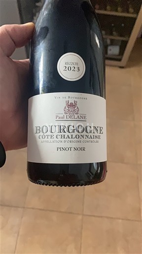 Burgundsko Bourgogne-Côte-Chalonnaise Vingerons de Buxy Paul Delane 2023