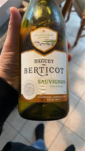 Southwest Côtes de Duras Daguet de Berticot Sauvignon 2023