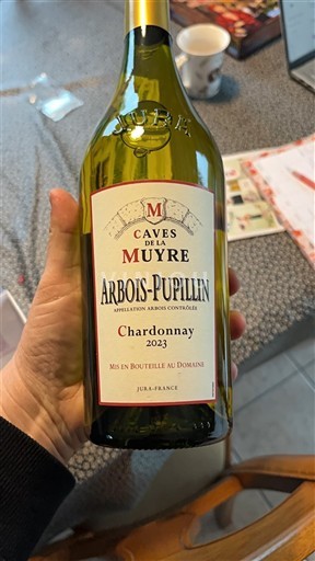 Jura Arbois Caves de la Muyre 2023