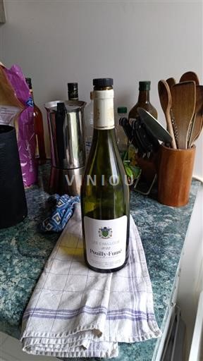 Valle della Loira Pouilly-fumé Les Berthiers Les Chailloux 2022