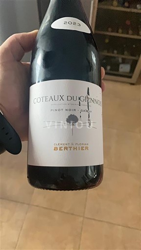 Valle della Loira Coteaux-du-giennois Clément & Florian Berthier Coteaux-du-giennois 2023
